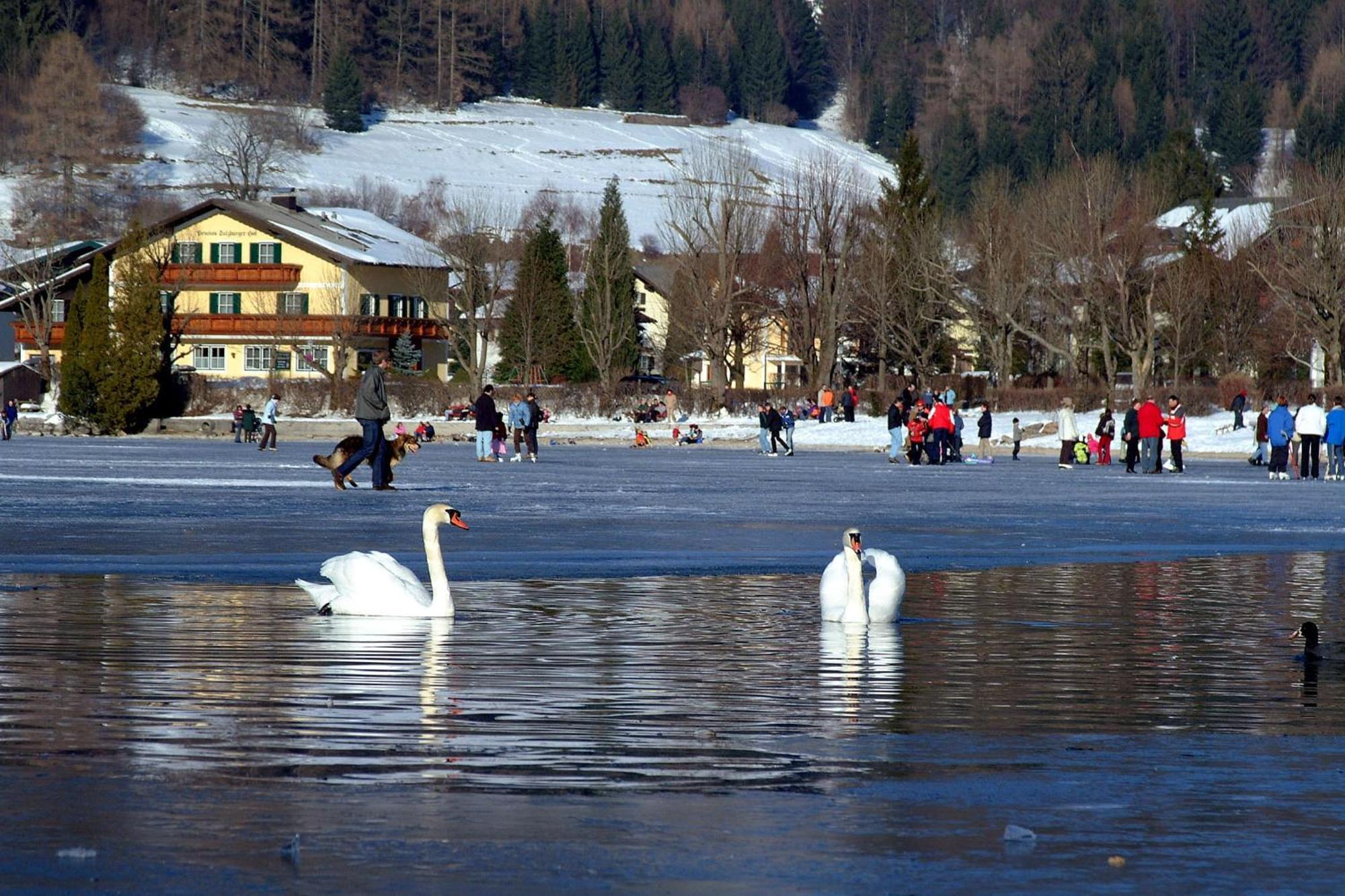 Landhotel Schuetzenhof Fuschl am See Exterior foto